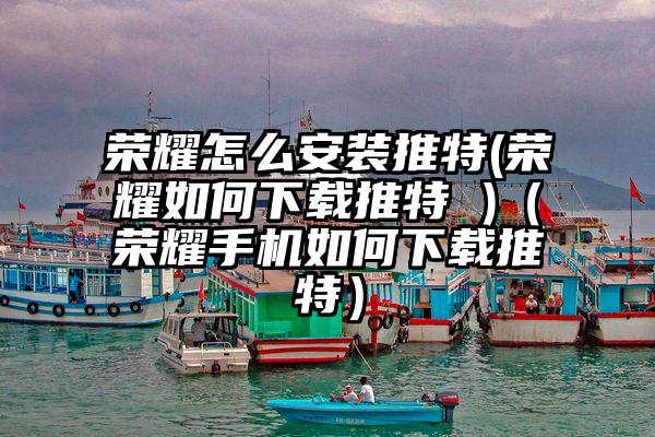 荣耀怎么安装推特(荣耀如何下载推特 )（荣耀手机如何下载推特）
