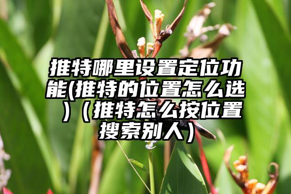 推特哪里设置定位功能(推特的位置怎么选 )（推特怎么按位置搜索别人）