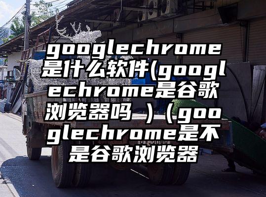 googlechrome是什么软件(googlechrome是谷歌浏览器吗 )（googlechrome是不是谷歌浏览器