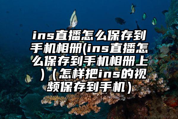 ins直播怎么保存到手机相册(ins直播怎么保存到手机相册上 )（怎样把ins的视频保存到手机）