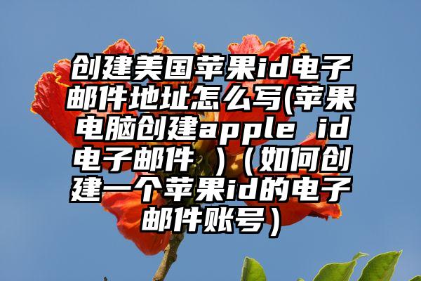 创建美国苹果id电子邮件地址怎么写(苹果电脑创建apple id电子邮件 )（如何创建一个苹果id的电子邮件账号）
