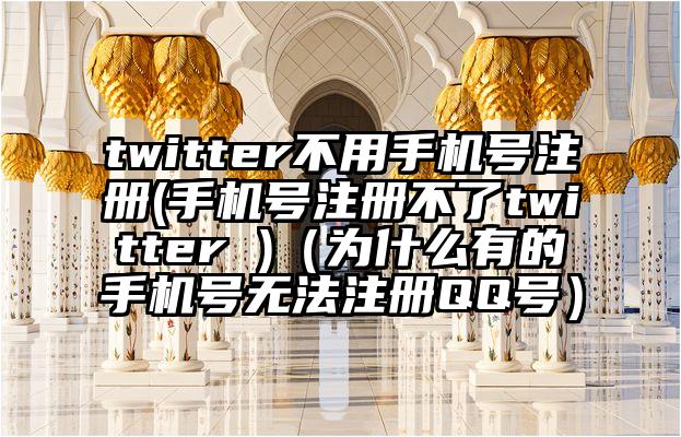 twitter不用手机号注册(手机号注册不了twitter )（为什么有的手机号无法注册QQ号）