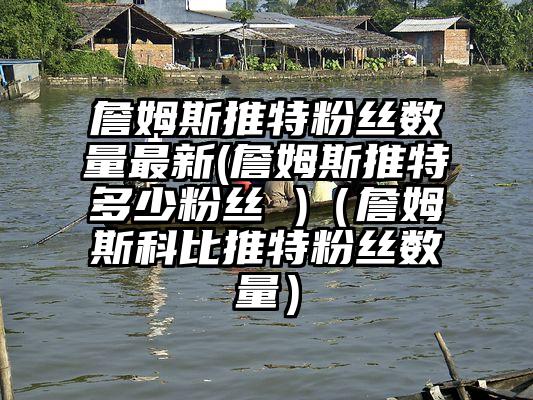 詹姆斯推特粉丝数量最新(詹姆斯推特多少粉丝 )（詹姆斯科比推特粉丝数量）