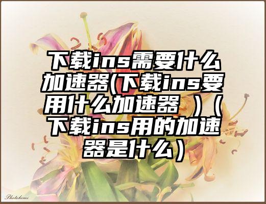 下载ins需要什么加速器(下载ins要用什么加速器 )（下载ins用的加速器是什么）