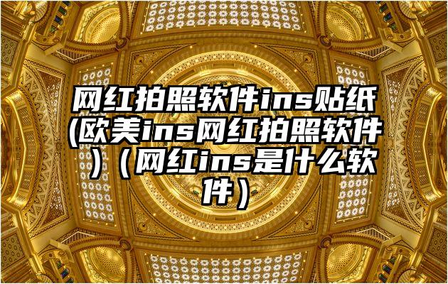 网红拍照软件ins贴纸(欧美ins网红拍照软件 )（网红ins是什么软件）