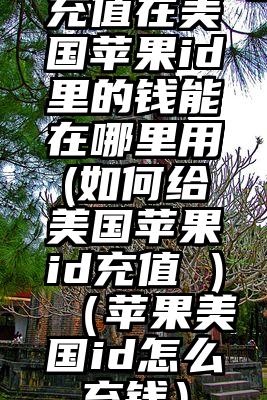充值在美国苹果id里的钱能在哪里用(如何给美国苹果id充值 )（苹果美国id怎么充钱）