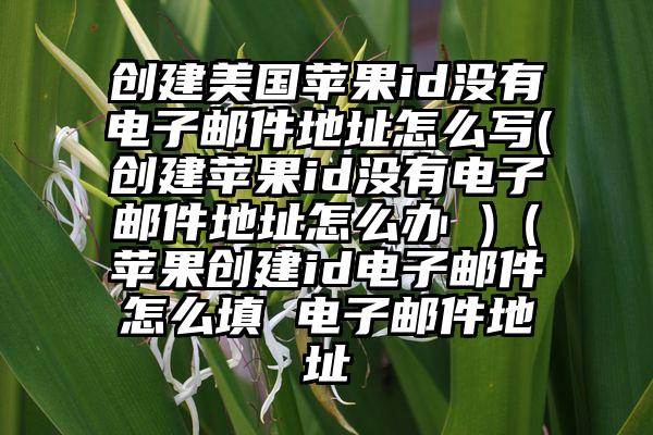 创建美国苹果id没有电子邮件地址怎么写(创建苹果id没有电子邮件地址怎么办 )（苹果创建id电子邮件怎么填 电子邮件地址