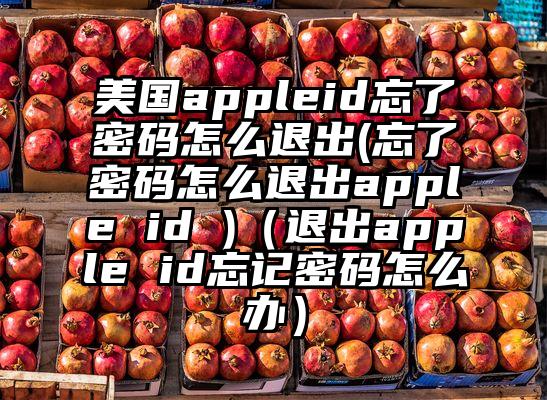 美国appleid忘了密码怎么退出(忘了密码怎么退出apple id )（退出apple id忘记密码怎么办）