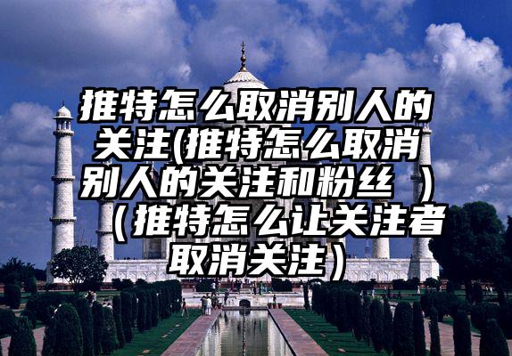 推特怎么取消别人的关注(推特怎么取消别人的关注和粉丝 )（推特怎么让关注者取消关注）