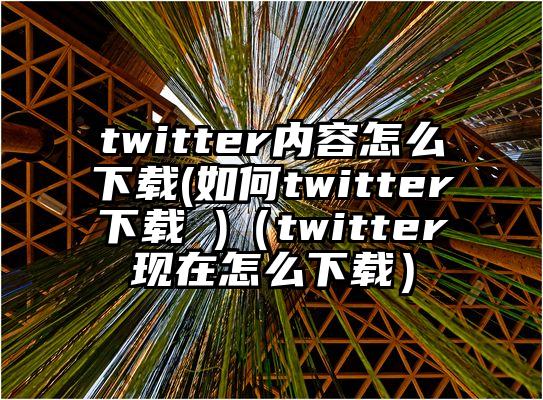 twitter内容怎么下载(如何twitter下载 )（twitter现在怎么下载）