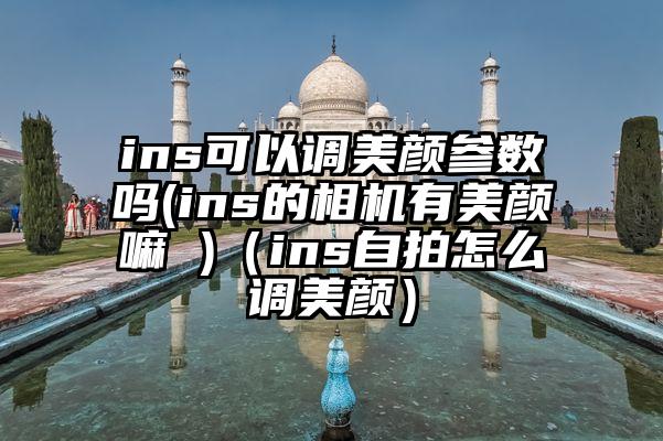 ins可以调美颜参数吗(ins的相机有美颜嘛 )（ins自拍怎么调美颜）