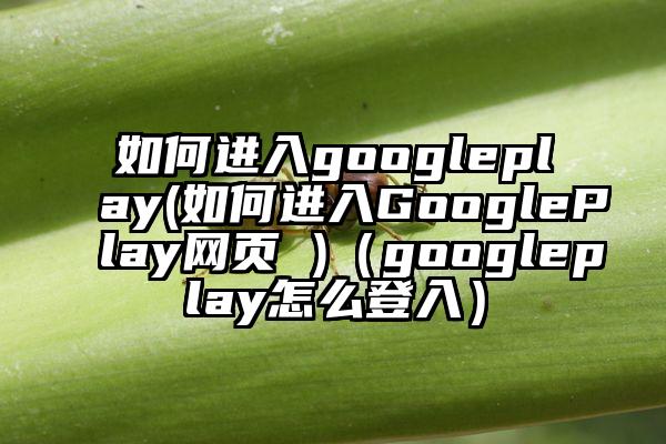 如何进入googleplay(如何进入GooglePlay网页 )（googleplay怎么登入）