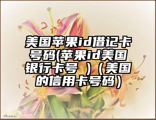 美国苹果id借记卡号码(苹果id美国银行卡号 )(美国的信用卡号码)
