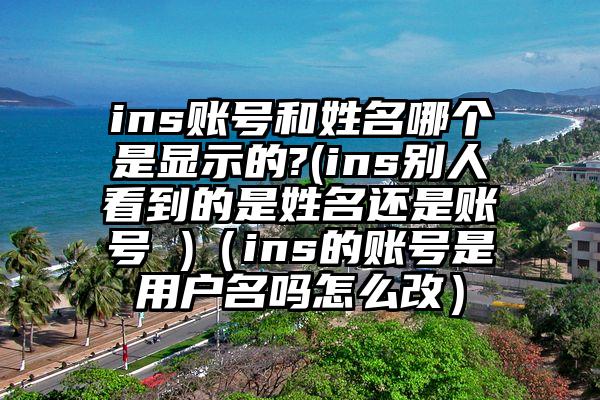 ins账号和姓名哪个是显示的?(ins别人看到的是姓名还是账号 )（ins的账号是用户名吗怎么改）
