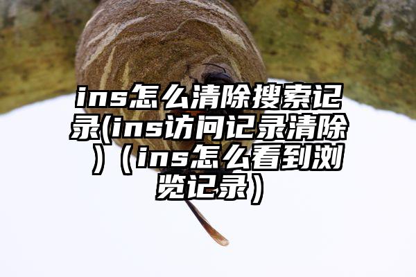 ins怎么清除搜索记录(ins访问记录清除 )（ins怎么看到浏览记录）