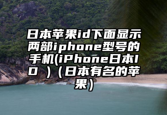 日本苹果id下面显示两部iphone型号的手机(iPhone日本ID )（日本有名的苹果）
