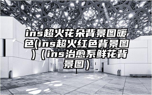 ins超火花朵背景图暖色(ins超火红色背景图 )(ins治愈系鲜花背景图)