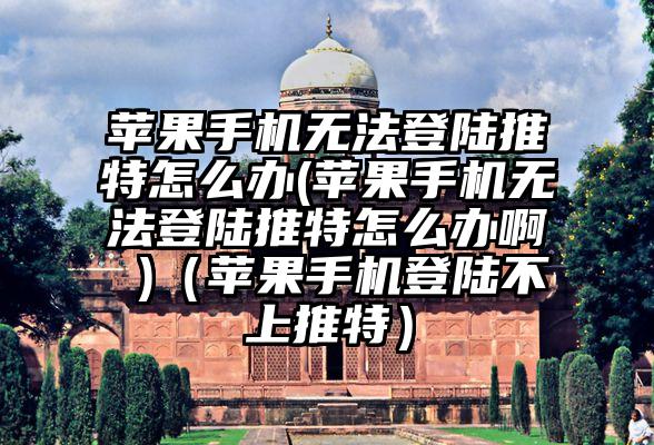 苹果手机无法登陆推特怎么办(苹果手机无法登陆推特怎么办啊 )（苹果手机登陆不上推特）