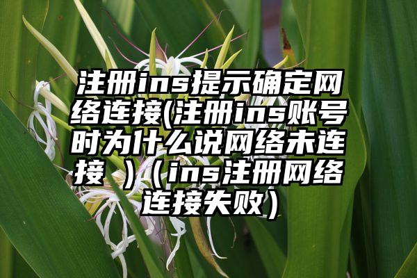 注册ins提示确定网络连接(注册ins账号时为什么说网络未连接 )（ins注册网络连接失败）