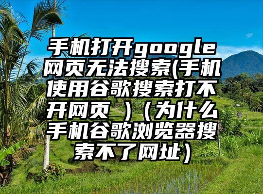 手机打开google网页无法搜索(手机使用谷歌搜索打不开网页 )（为什么手机谷歌浏览器搜索不了网址）