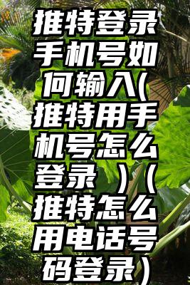 推特登录手机号如何输入(推特用手机号怎么登录 )（推特怎么用电话号码登录）