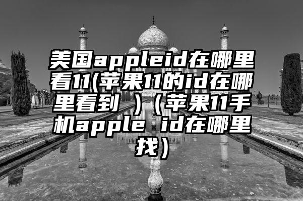 美国appleid在哪里看11(苹果11的id在哪里看到 )（苹果11手机apple id在哪里找）