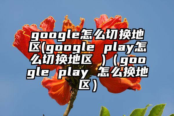google怎么切换地区(google play怎么切换地区 )（google play 怎么换地区）