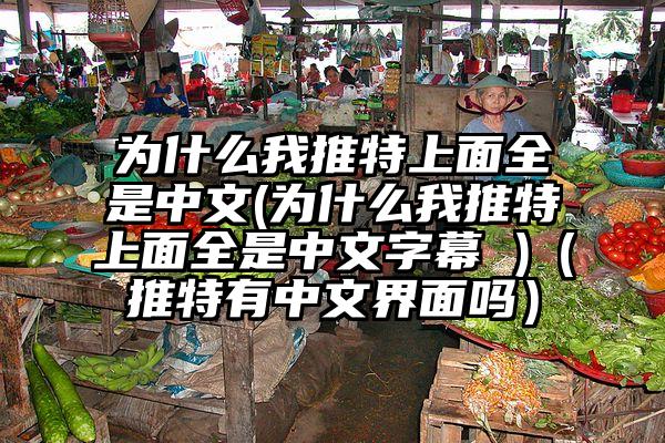 为什么我推特上面全是中文(为什么我推特上面全是中文字幕 )（推特有中文界面吗）