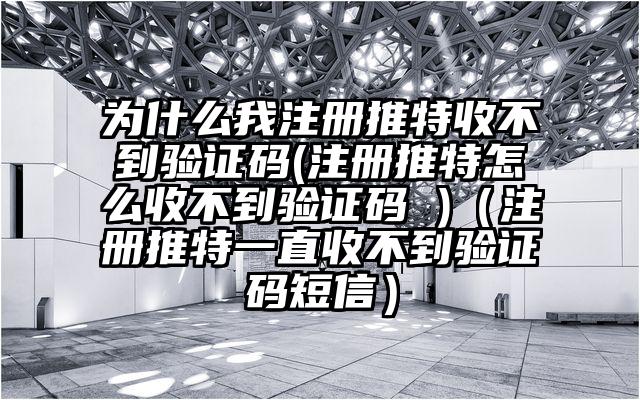为什么我注册推特收不到验证码(注册推特怎么收不到验证码 )(注册推特一直收不到验证码短信)