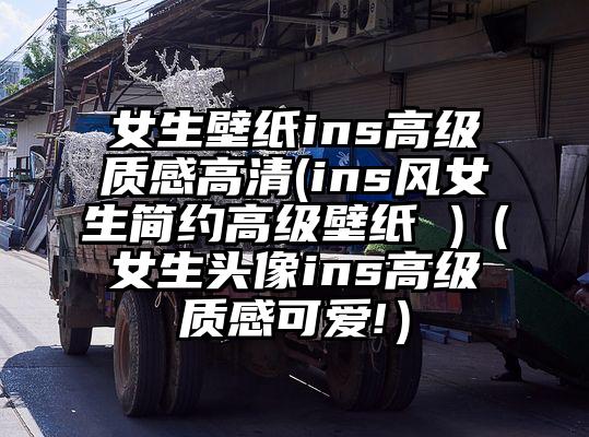 女生壁纸ins高级质感高清(ins风女生简约高级壁纸 )（女生头像ins高级质感可爱!）