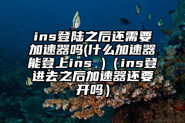 ins登陆之后还需要加速器吗(什么加速器能登上ins )（ins登进去之后加速器还要开吗）