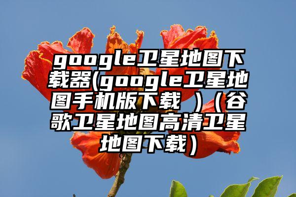 google卫星地图下载器(google卫星地图手机版下载 )（谷歌卫星地图高清卫星地图下载）