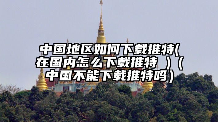 中国地区如何下载推特(在国内怎么下载推特 )（中国不能下载推特吗）