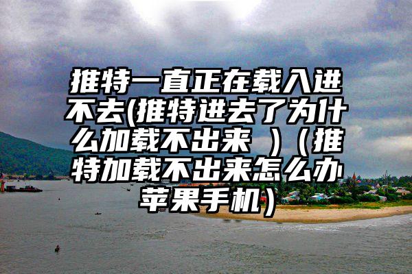 推特一直正在载入进不去(推特进去了为什么加载不出来 )（推特加载不出来怎么办苹果手机）