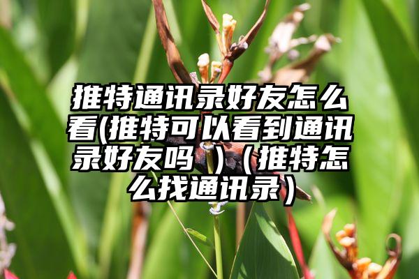 推特通讯录好友怎么看(推特可以看到通讯录好友吗 )（推特怎么找通讯录）
