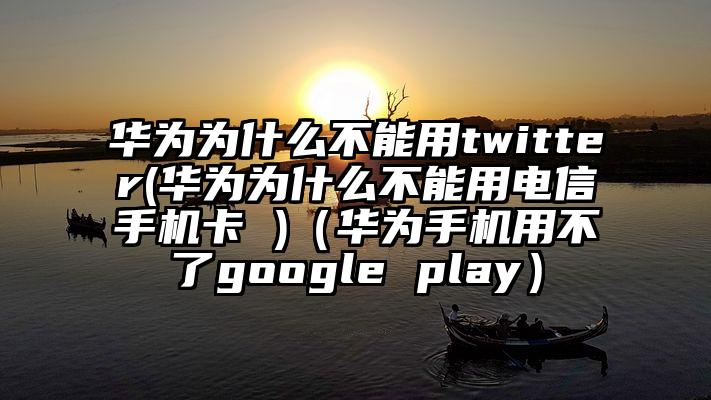 华为为什么不能用twitter(华为为什么不能用电信手机卡 )（华为手机用不了google play）