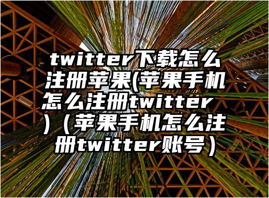 twitter下载怎么注册苹果(苹果手机怎么注册twitter )（苹果手机怎么注册twitter账号）