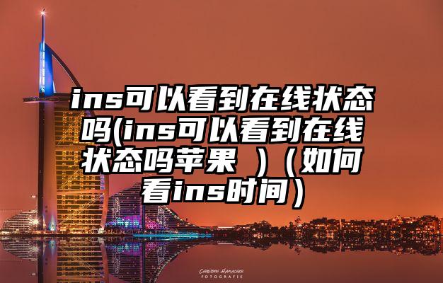 ins可以看到在线状态吗(ins可以看到在线状态吗苹果 )（如何看ins时间）