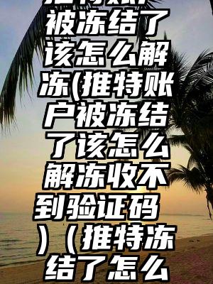 推特账户被冻结了该怎么解冻(推特账户被冻结了该怎么解冻收不到验证码 )（推特冻结了怎么解冻）