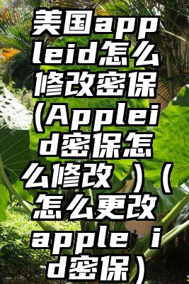 美国appleid怎么修改密保(Appleid密保怎么修改 )（怎么更改apple id密保）