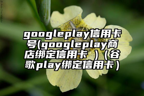 googleplay信用卡号(googleplay商店绑定信用卡 )（谷歌play绑定信用卡）