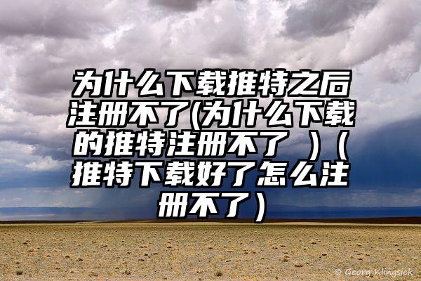 为什么下载推特之后注册不了(为什么下载的推特注册不了 )（推特下载好了怎么注册不了）