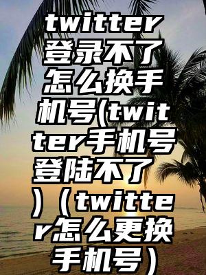 twitter登录不了怎么换手机号(twitter手机号登陆不了 )（twitter怎么更换手机号）