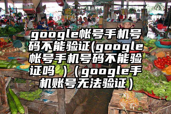 google帐号手机号码不能验证(google帐号手机号码不能验证吗 )(google手机账号无法验证)