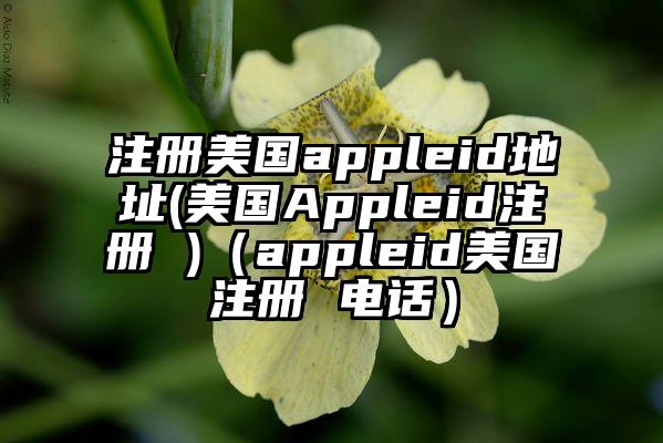 注册美国appleid地址(美国Appleid注册 )（appleid美国注册 电话）