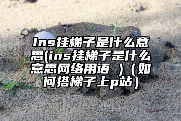 ins挂梯子是什么意思(ins挂梯子是什么意思网络用语 )（如何搭梯子上p站）