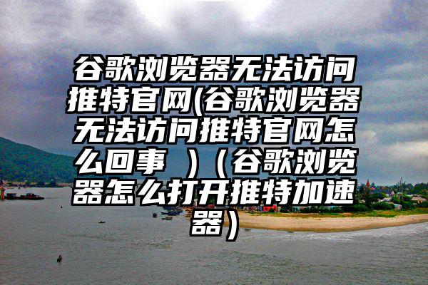 谷歌浏览器无法访问推特官网(谷歌浏览器无法访问推特官网怎么回事 )（谷歌浏览器怎么打开推特加速器）