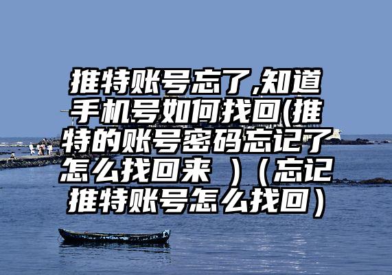 推特账号忘了,知道手机号如何找回(推特的账号密码忘记了怎么找回来 )（忘记推特账号怎么找回）