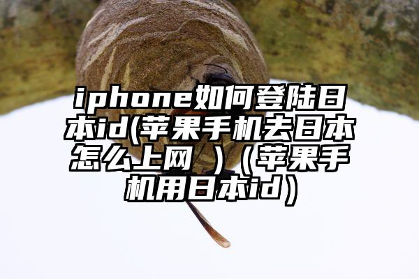 iphone如何登陆日本id(苹果手机去日本怎么上网 )（苹果手机用日本id）