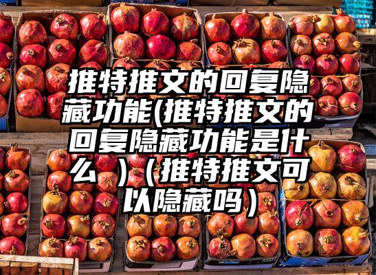 推特推文的回复隐藏功能(推特推文的回复隐藏功能是什么 )（推特推文可以隐藏吗）